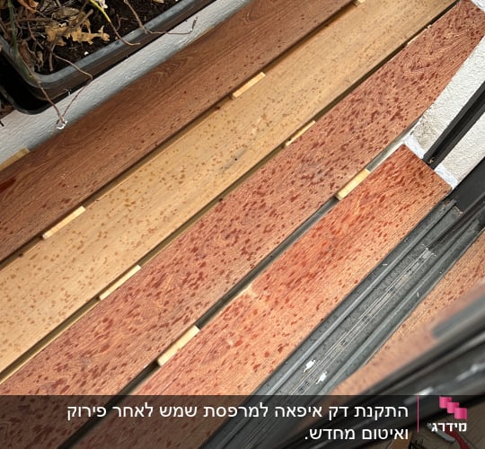 לוחות עץ וכלי עבודה על רצפה ליד עציצים